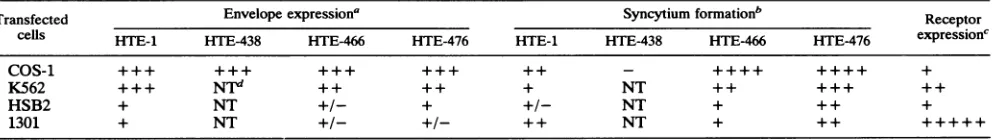 FIG. 3.blottransfectedhumanexpressor Expression of envelope proteins after transfection of cell lines with the HTE-466 and HTE-476 mutants