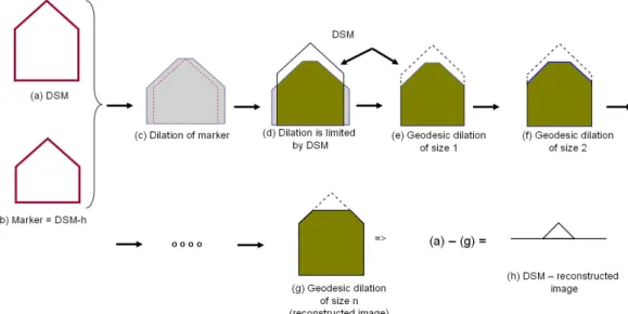 Figure 1b) is provided by subtracting an offset value h, e.g.,  1m, from the DSM image (cf