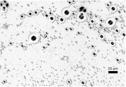 Figure 1.2: Image of unsorted bubbles ranging from approximately 0.7 to 20 µm.