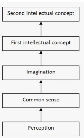 Figure 3: The procedure of generation of first and second intellectual concepts in Avicenna’s model