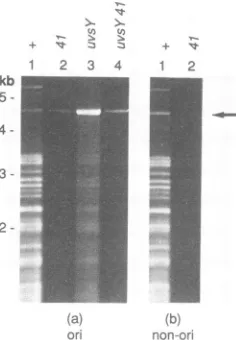 FIG. 5.byplasmidindicatedtheresulting(c).andand Replication of phage and origin-containing plasmid DNA gene 61 mutants