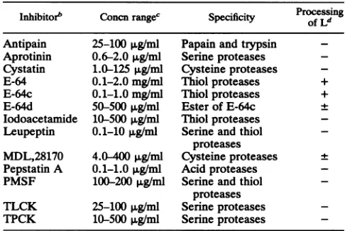 TABLE 1. Protease inhibitors tested for interference withFMDV L autocatalytic activity'