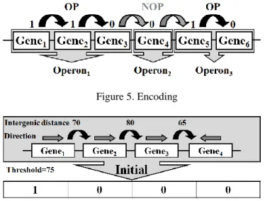 Figure 5. Encoding 