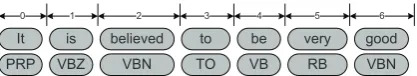 Figure 2: Customized Tokenizer Example