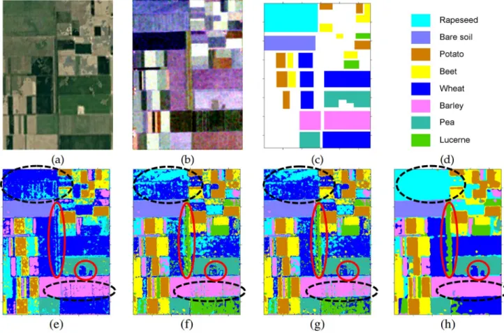 Fig. 8. Test data and the classification results. (a) Optical image over Flevoland, The Netherlands