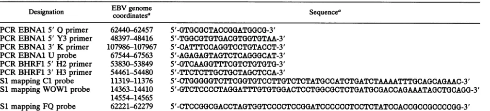 TABLE 1. Oligonucleotide sequences