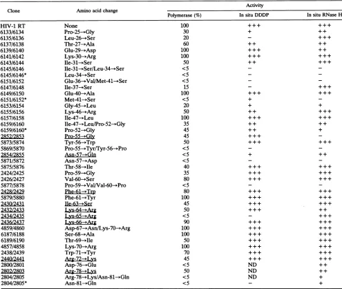 TABLE 1. Summary of results of RNA-dependent DNA polymerase, DNA-dependent DNA polymerase, and RNase H assaysa
