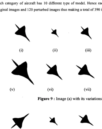 Figure 9 : Image (a) with its variations 