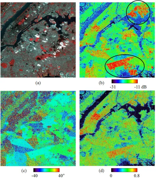 Figure 1. Urban density of New York estimated from a fully polarimetric PALSAR image. (a) AVNIR-2 image, (b) T P , (c) POA and (d) T v+c 