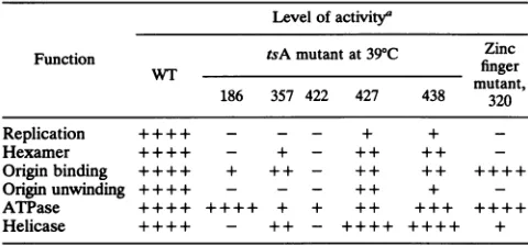 TABLE 2. Summary of WT and mutant phenotypes