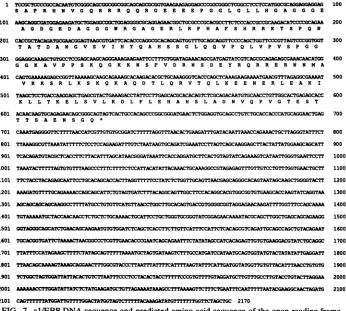 FIG. 8.highlighted.leucinequencesC/EBP, Comparison of the al/EBP protein sequence with se- of other leucine zipper proteins