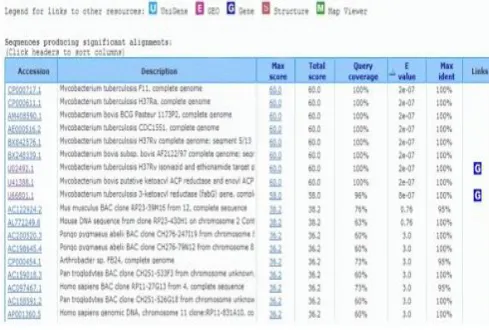 Figure 2:   BLAST output lists of hits and alignments 