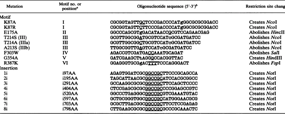 TABLE 1. Oligonucleotides used to create motif and insertion mutants