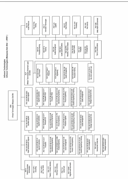 Figure 1.1: Infineon Technologies company structure 