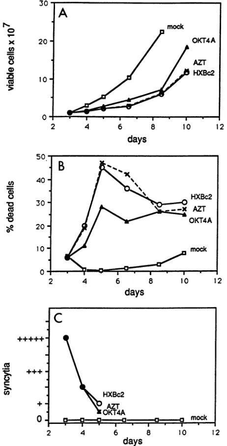 FIG. 8.wereJurkateffectsingle-cellindaytg/ml, Fig. Effect of AZT and OKT4A antibody on HIV cytopathic in Jurkat cells