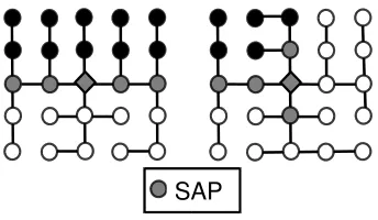Figure 10: SAP allocation and routing tree for topology1.