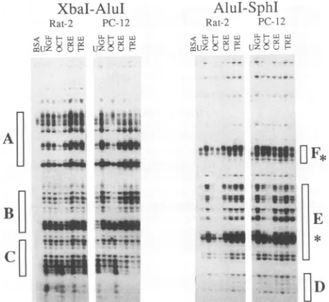 FIG. 4.t**!fWCAT(10quantified. Enhancer activity ofAluI subclones derived fromXbaI-SphI fragment