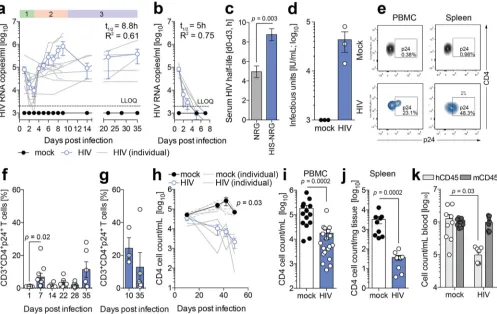 FIG 2 HIV-1 results in distinct phases of infection in humanized mice. (a) Serum HIV-1 RNA kinetic in humanized NRG mice following infection with 2.1 IU RTby Mann-Whitney test using Bonferroni corrections