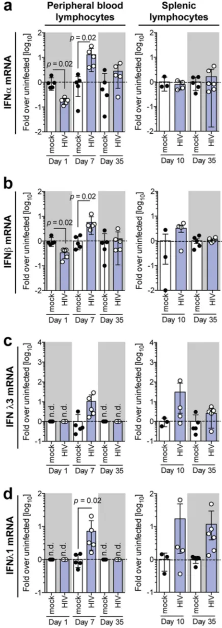 FIG 3 HIV-1 induces a compartmentalized interferon response in humanized mice. Shown are mRNAand splenic lymphocytes isolated from HIV-1-infected humanized mice at days 1, 7, and 35 and atexpression levels of IFN-� (a), IFN-� (b), IFN-�3 (c), and IFN-�1 (d