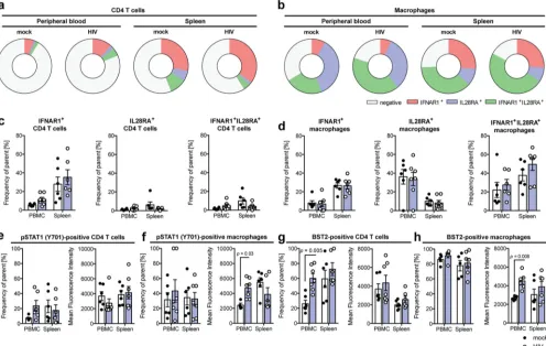 FIG 5 HIV-1 infection induces JAK/STAT signaling in human T cells and macrophages in humanized mice