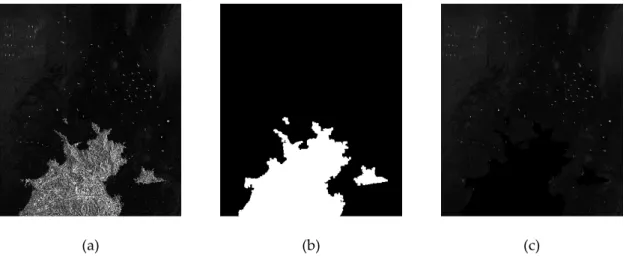 Table 7. Compositions of the large-scale SAR image.