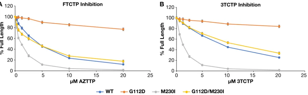 FIG 10 Effects of the various mutations on the ability to incorporate FTCTP (A) or 3TCTP (B) into a DNA:DNA substrate