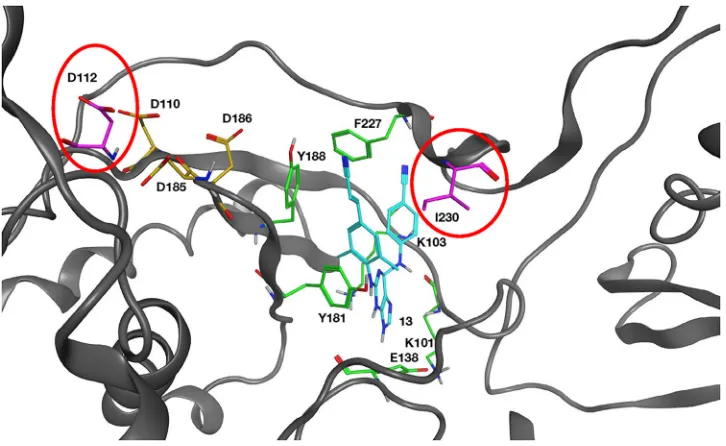 TABLE 1 HIV-1 RT mutations detected after selection in the presence of compound 13
