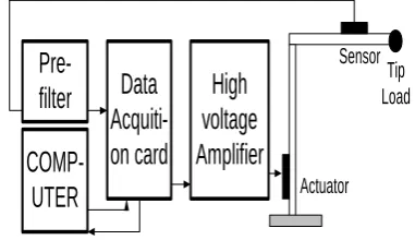 Fig 2 Schematic diagram of the experimental setup  