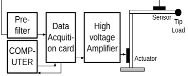 Fig 3 Schematic diagram of the experimental setup 