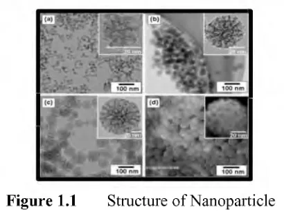 Figure 1.1 Structure of Nanoparticle