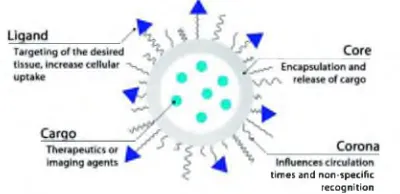 Figure 1.2 Structure of nanoparticle platforms for drug delivery
