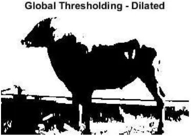 Fig. 4: Image Segmentation with Global Thresholding Method 