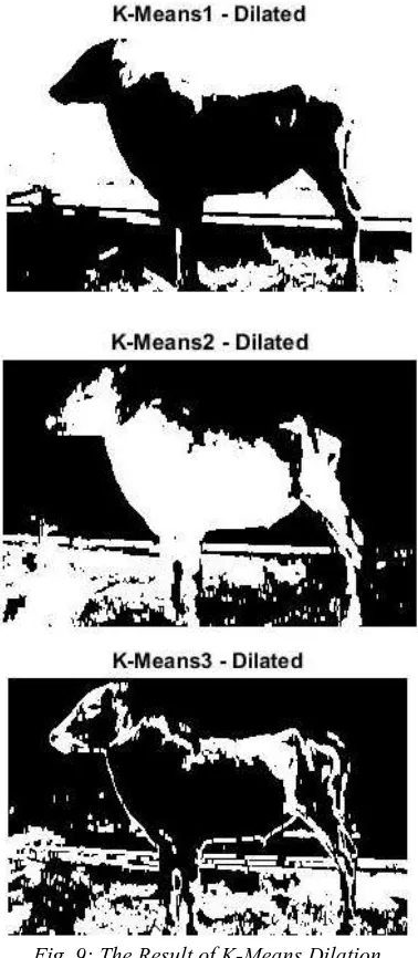 Fig. 9: The Result of K-Means Dilation 