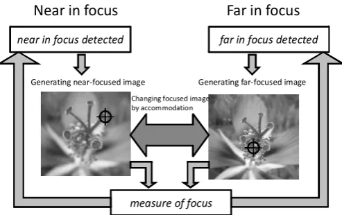 Fig. 1 Flow of generating focused image 