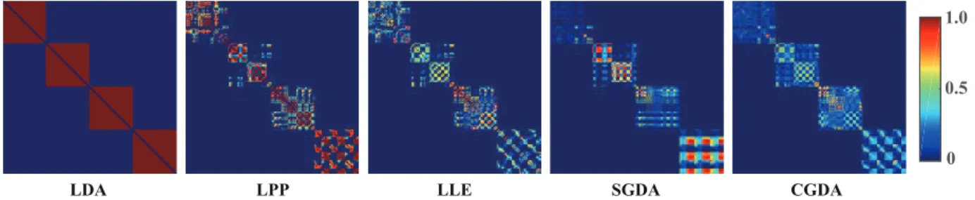 Fig. 3.2. Four types of affinity matrices (W) used in five different approaches: LDA, LPP, LLE, SGDA, and CGDA, respec- respec-tively, where the connectivity (or edge) of W is computed within each class.