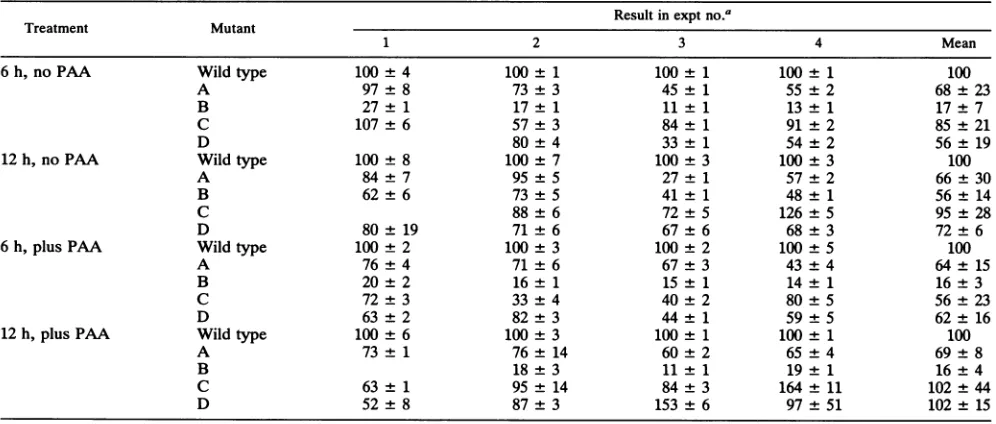 FIG. 6.rated, Autoradiographic in vitro-synthesized, labeled
