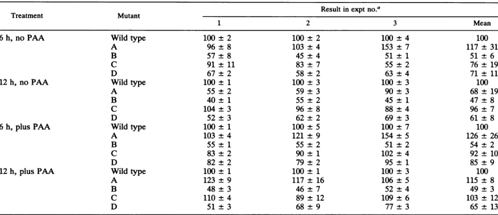 TABLE 2. RNase protection studies on RNA extracted from cells infected with the R8023 series of HSV-1 mutants