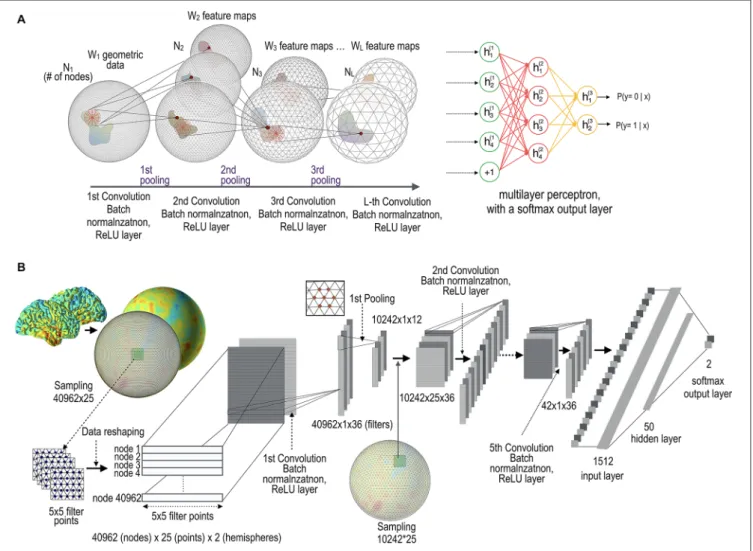 FIGURE 1 | Architecture of geometric convolutional neural network (gCNN). (A) Conceptual architecture of the gCNN
