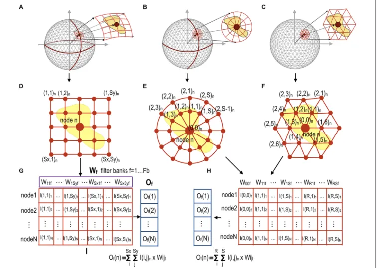 FIGURE 2 | Data sampling and reshaping methods for three different types of filters according to patch geometry for mesh convolution