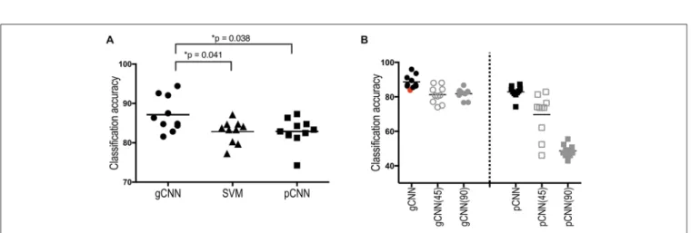 FIGURE 8 | Sex classification accuracies of the gCNN, support vector machine (SVM), and pCNN, and classification accuracy changes after global rotation.