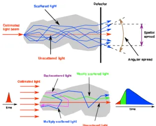 Figure 2: Beam spreading in scattering media due to multiple scat- scat-tering.