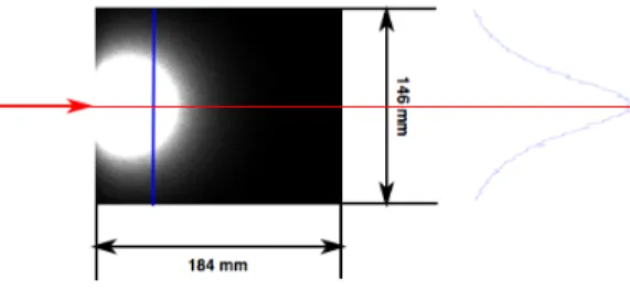 Figure 3: Monte Carlo simulation of a scattering medium. Density estimation of photons yields energy distribution in the medium