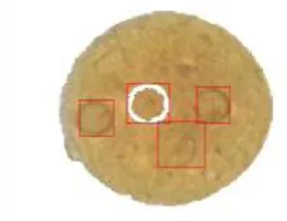 Fig. 7: The final detection result, the red rectangles are the  regions of detected nucleuses and the white region is the first detected nucleus