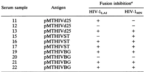 TABLE 1. Antibody responses after immunization with HIV-1 viruslike particles containing modified envelope glycoproteins