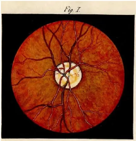 Figure 2.4: First human fundus image drawn by Van Trigt in 1853 [Van Trigt, 1853].