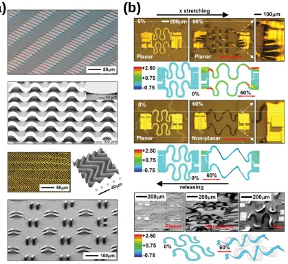 Figure 1.2 (a) Scanning electron microscopy (SEM) and optical microscopy images of inorganic structures on elastomeric substrates