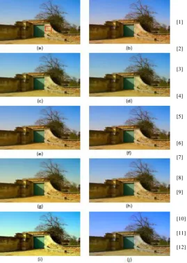 Figure 7. Original and colour balanced images: a) Original image from Futta.NET dataset [16], b) Grey World [7], c) Max-RGB [8], d) Modified White Patch [9], e) 1st Order Grey Edge [11], f) 2nd Order Grey Edge [11], g) Shades of Grey [10], h) Weighted Grey