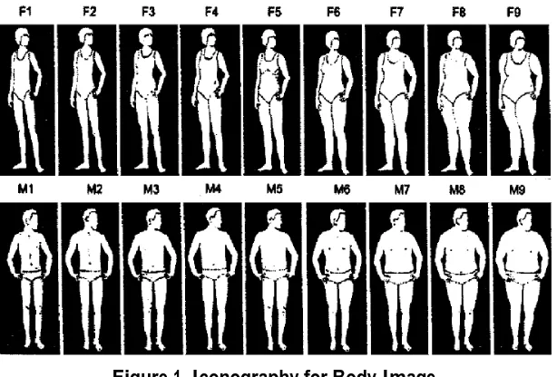 Figure 1. Iconography for Body Image Source: Madrigal, H., Sanchez-Villegas, A., Martinez-Gonzalez, M., Kearney, J., Gibney, M., De Irala, J., & Martinez, J 