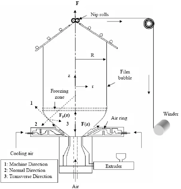 Figure 2-1: Schematic Diagram of the blown film process along with surface coordinates  and free body diagram of the forces