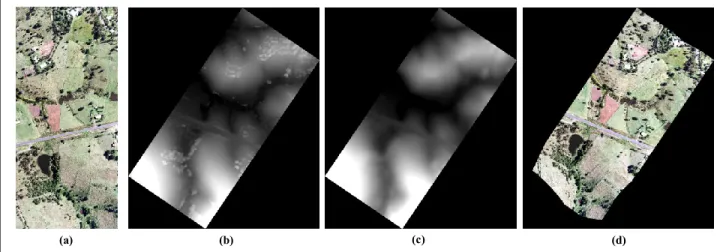 Figure 2.    (a) The raw aerial image, (b) The generated DSM, (c) The munual edited DTM, and (d) The final orthorectified image